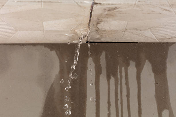 Professional Flood Damage Cleanup technician working in Ellsworth, WI